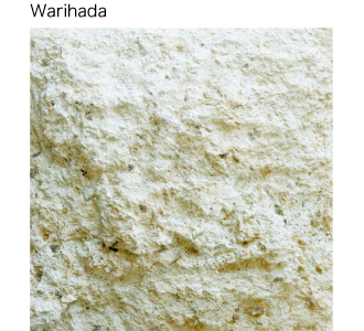 Warihada